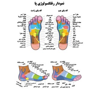 نقاط حساس کف پا و ارتباط آن با کل بدن،ریفلکسولوژی (بازتاب‌شناسی) چیست؟